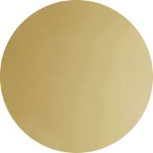 Lifetime Polished Gold